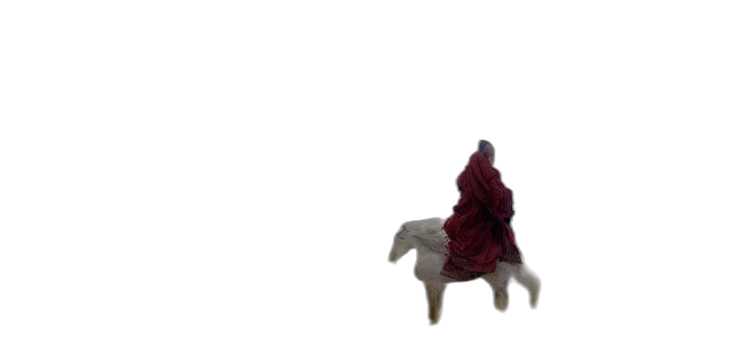 animal, hat, creature, dragon transparent PNG cut-out