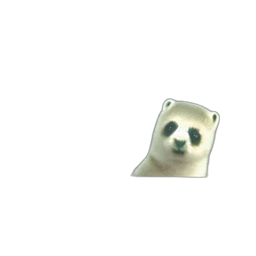 animal, creature, face, mask transparent PNG cut-out