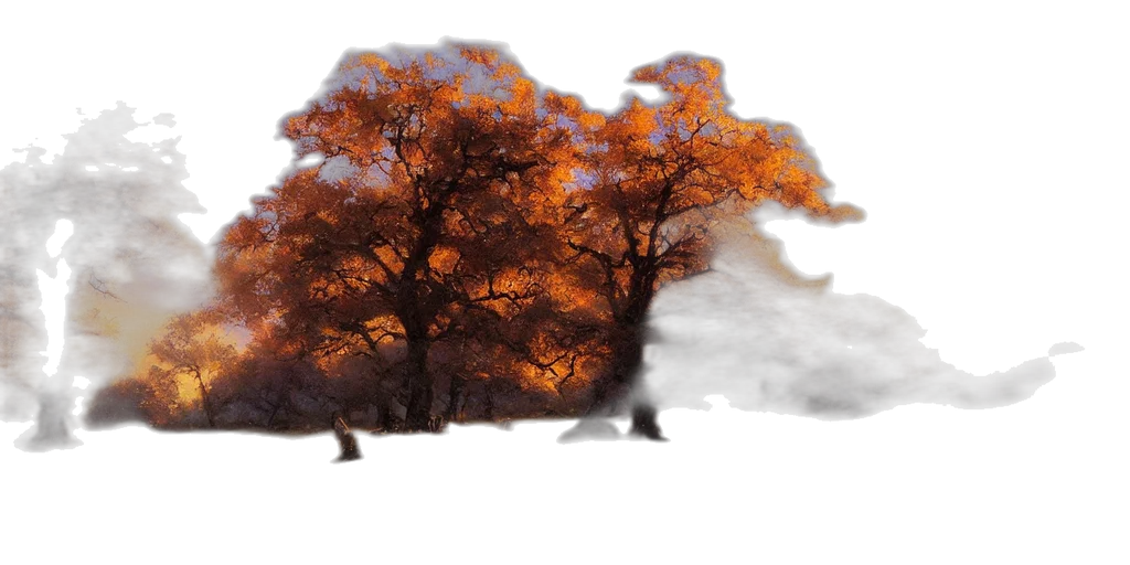 tree, dragon, hair, animal, photorealistic, 3d render, concept art, fantasy art transparent PNG cut-out