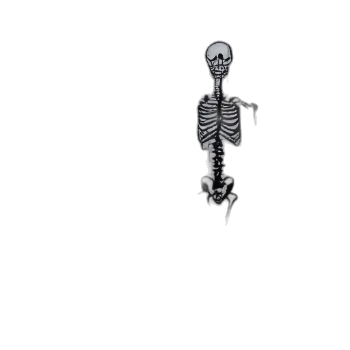 animal, robot, staff, jewelry transparent PNG cut-out