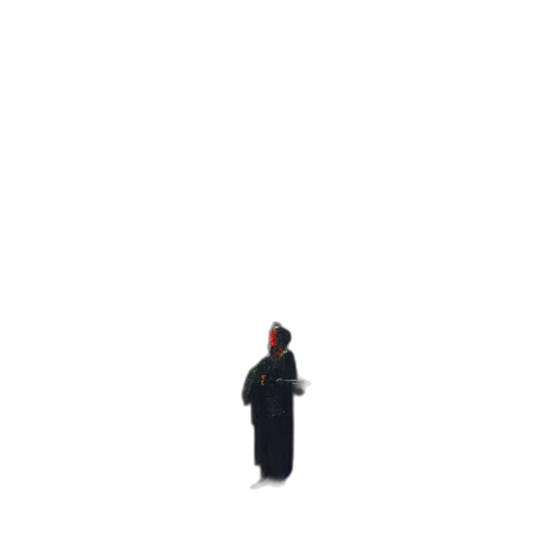 hat, dress, staff, umbrella, pixel art, concept art, 3d render, photorealistic transparent PNG cut-out