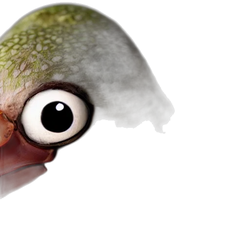 creature, animal, face, mask transparent PNG cut-out