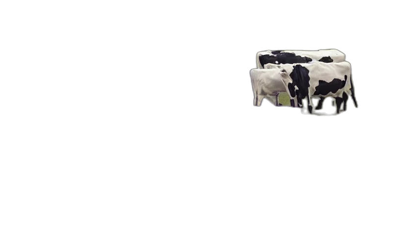 weapon, animal, robot, food transparent PNG cut-out