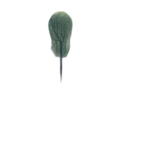 hat, umbrella, hair, staff transparent PNG cut-out