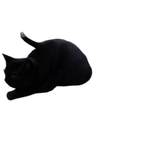 hat, animal, staff, creature, photorealistic, 3d render, concept art, cat transparent PNG cut-out