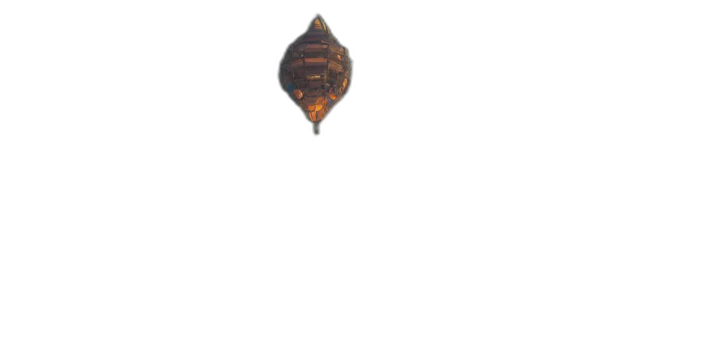 crown, jewelry, umbrella, staff transparent PNG cut-out