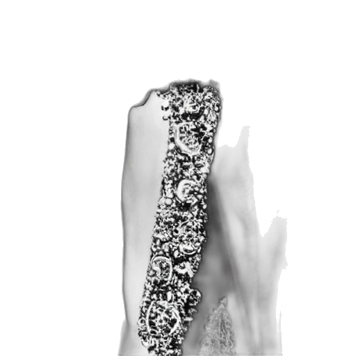 dress, jewelry, crown, shoes transparent PNG cut-out