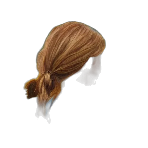 hair, hat, crown, staff, 3d render, photorealistic, oil painting, concept art transparent PNG cut-out