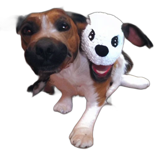 animal, creature, staff, mask transparent PNG cut-out