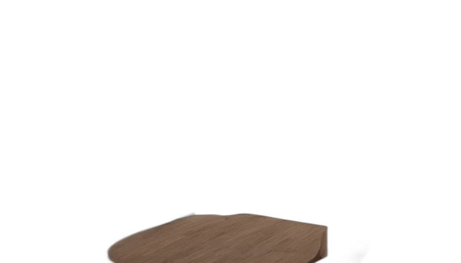 furniture, tree, shoes, hat transparent PNG cut-out