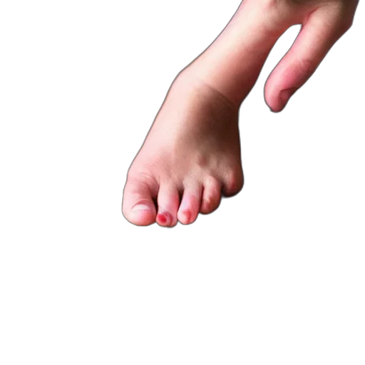 shoes, weapon, creature, animal, 3d render, photorealistic, oil painting, concept art transparent PNG cut-out