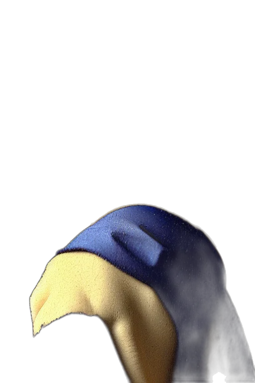 hat, mask, face, crown, 3d render, watercolor, pixel art, concept art transparent PNG cut-out