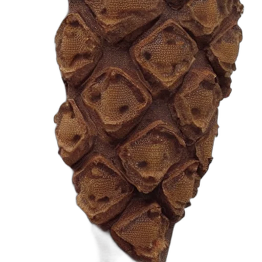 food, umbrella, crown, staff, 3d render, arm, made, honeycomb transparent PNG cut-out