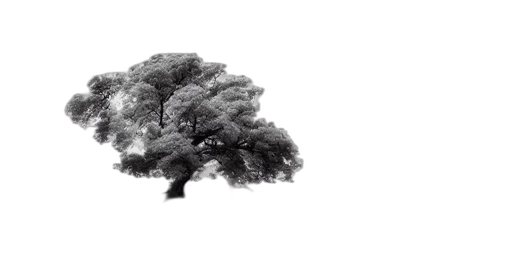 tree, crown, hair, dragon, photorealistic, 3d render, concept art, pencil sketch transparent PNG cut-out