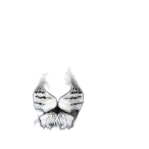 mask, face, animal, creature transparent PNG cut-out