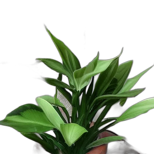 flower, crown, staff, creature, 3d render, photorealistic, vaporwave, oil painting transparent PNG cut-out