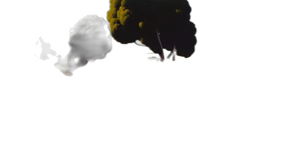tree, dragon, animal, crown transparent PNG cut-out
