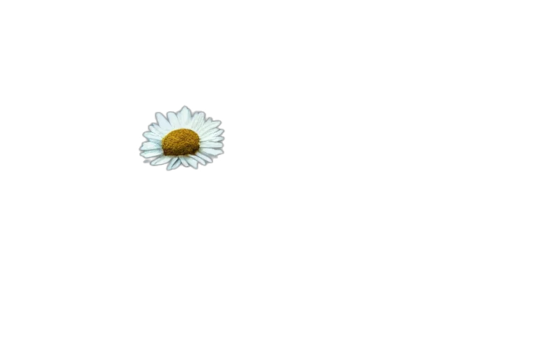 flower, food, jewelry, weapon, pixel art, 3d render, photorealistic, golden transparent PNG cut-out