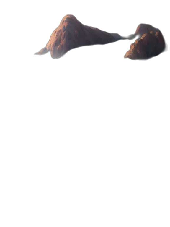 animal, hat, shoes, hair transparent PNG cut-out
