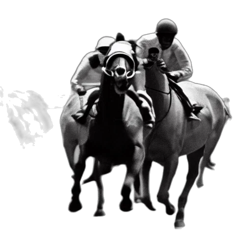 animal, concept art, photorealistic, 3d render, fantasy art, horses, racing, against transparent PNG cut-out