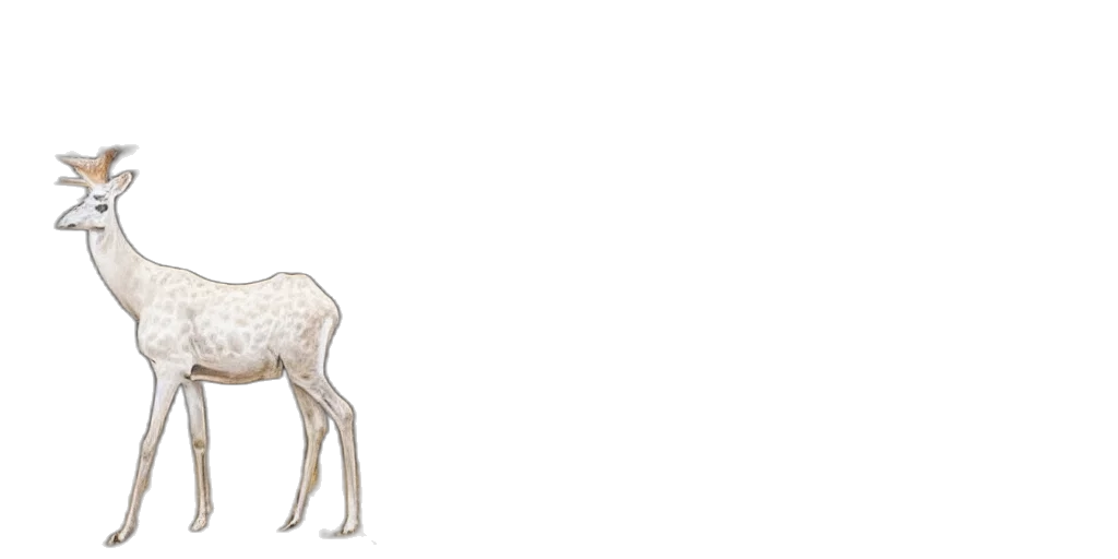 animal, creature, staff, crown transparent PNG cut-out