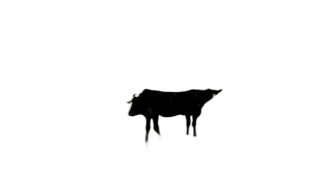 animal, food, creature, jewelry transparent PNG cut-out