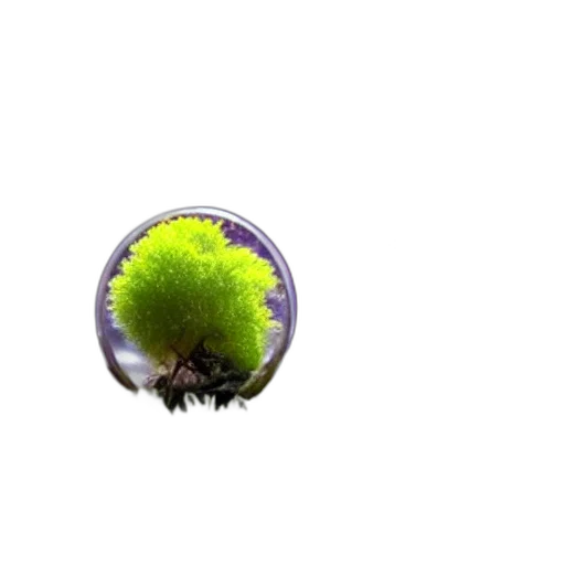 tree, hair, staff, creature, 3d render, photorealistic, pixel art, concept art transparent PNG cut-out