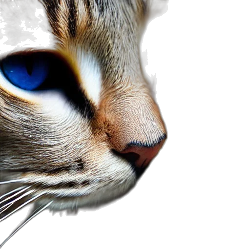 animal, creature, face, staff transparent PNG cut-out