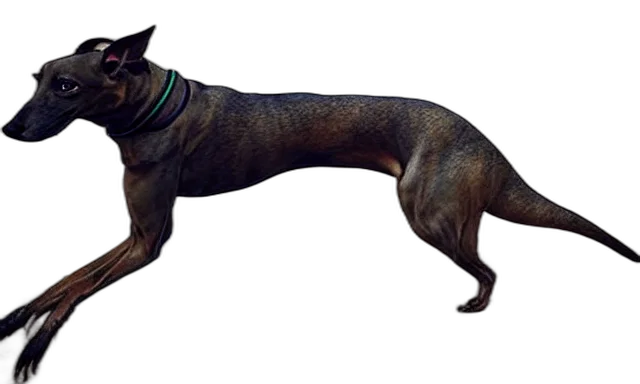 animal, creature, staff, dragon transparent PNG cut-out