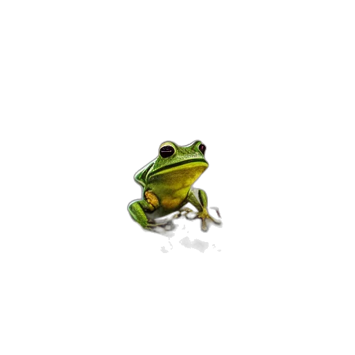 animal, creature, jewelry, staff transparent PNG cut-out