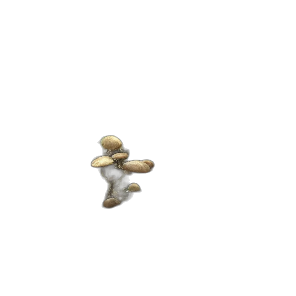 hat, creature, weapon, staff, 3d render, pixel art, concept art, earth tones transparent PNG cut-out