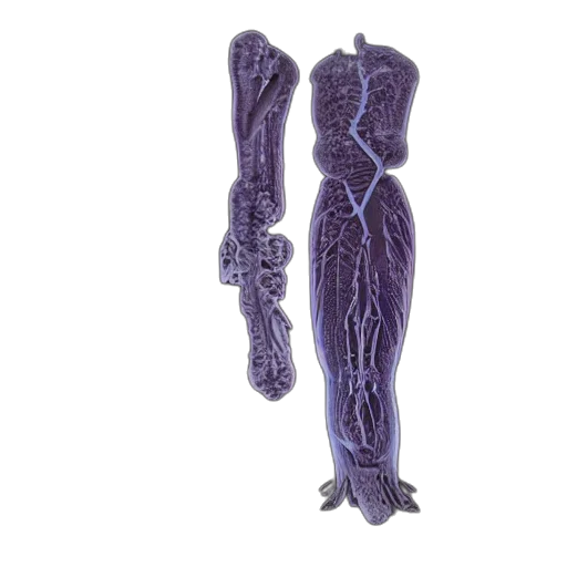 dress, jewelry, staff, sword, unreal, engine, blueprint, human transparent PNG cut-out