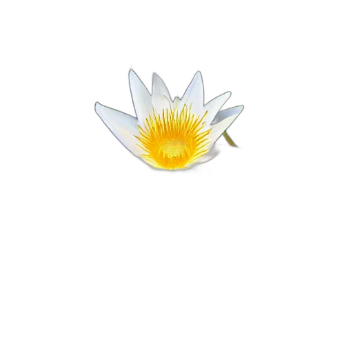 flower, jewelry, crown, staff transparent PNG cut-out