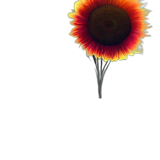 flower, staff, umbrella, crown transparent PNG cut-out