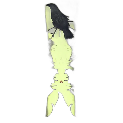 creature, staff, dragon, hair transparent PNG cut-out