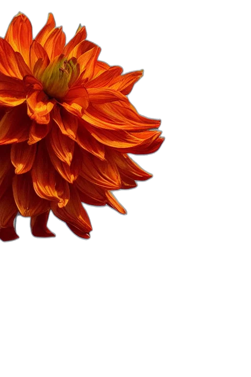 flower, crown, dress, jewelry, photorealistic, 3d render, oil painting, pixel art transparent PNG cut-out