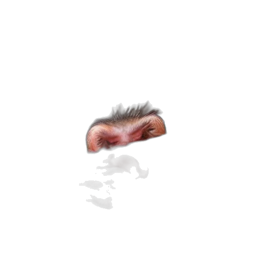 face, mask, creature, hair, photorealistic, concept art, 3d render, pixel art transparent PNG cut-out