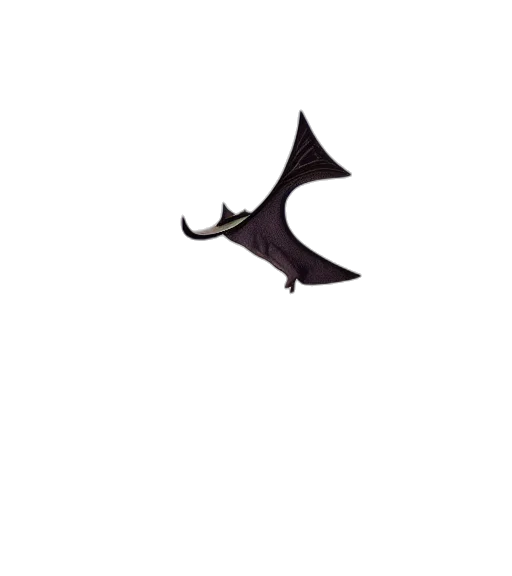 staff, umbrella, dragon, hat transparent PNG cut-out