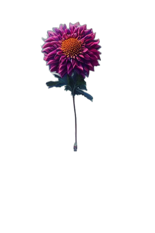 flower, staff, crown, umbrella, 3d render, photorealistic, concept art, watercolor transparent PNG cut-out