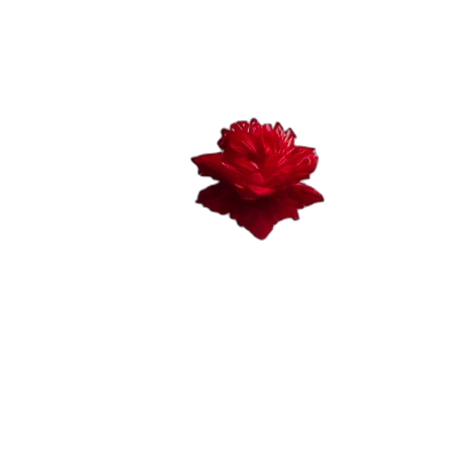 flower, crown, hat, umbrella transparent PNG cut-out