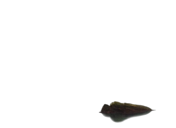 shoes, staff, weapon, hat, 3d render, photorealistic, concept art, underwater transparent PNG cut-out
