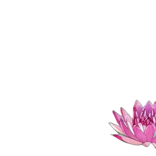 flower, crown, jewelry, weapon transparent PNG cut-out
