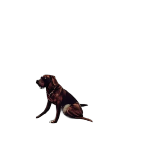 animal, staff, creature, pixel art, photorealistic, 3d render, concept art, hipster transparent PNG cut-out