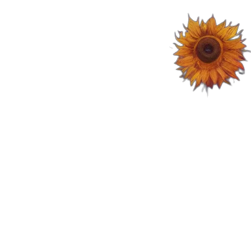flower, crown, staff, umbrella transparent PNG cut-out
