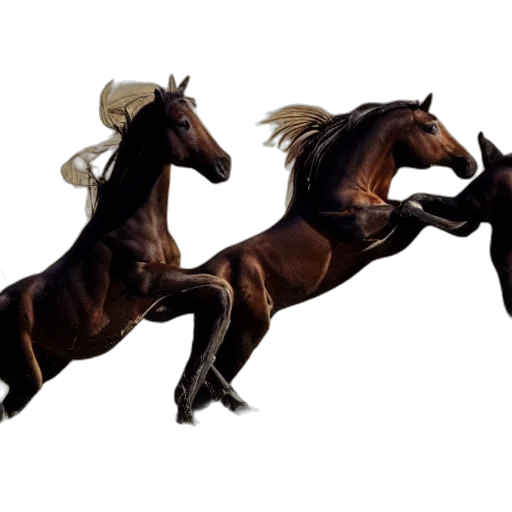 animal, hair, photorealistic, concept art, 3d render, fantasy art, horses, crashing transparent PNG cut-out