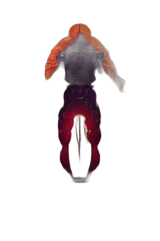 creature, hair, robot, animal transparent PNG cut-out