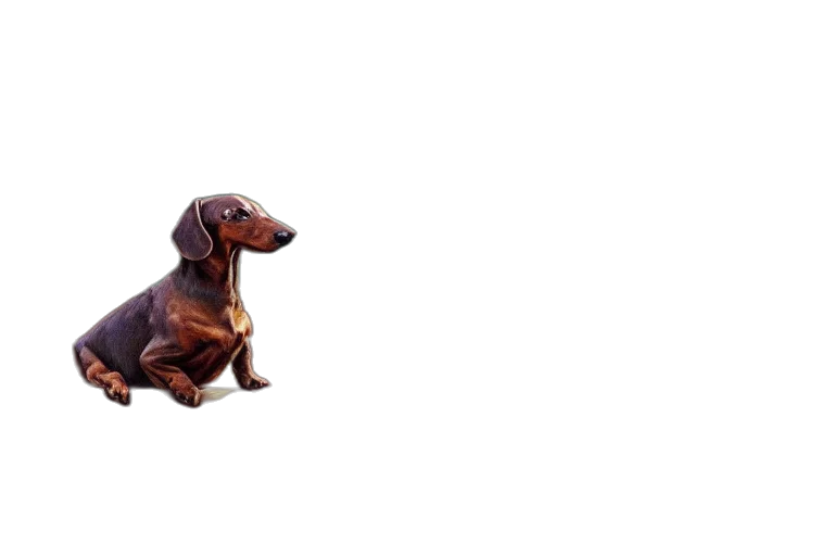 animal, creature, dragon, staff transparent PNG cut-out