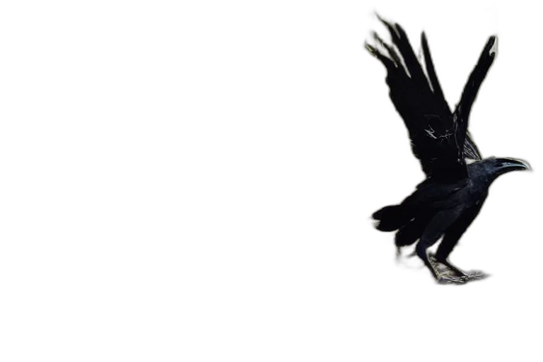 animal, staff, weapon, jacket transparent PNG cut-out