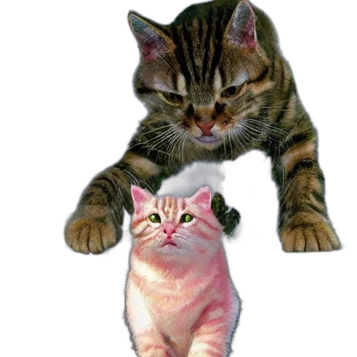 animal, creature, weapon, food transparent PNG cut-out