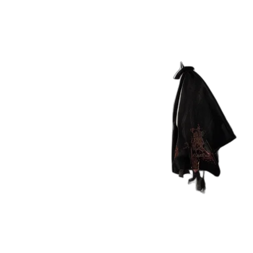 jacket, umbrella, dress, staff transparent PNG cut-out